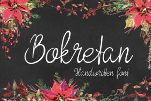 Bokretan: Why This Typeface Deserves a Spot in Your Design Toolkit