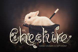 Cheshire: Elevating Modern Visual Identity