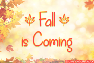 Fall is Coming: The Season of Strategic Transition