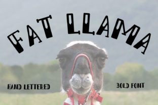 Fat Llama: Access Premium Gear Without the Price Tag