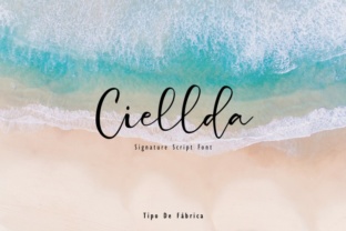 Getting the Most Out of Ciellda: A Practical Guide to Avoiding Common Pitfalls