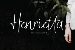 Henrietta: The Smart Way to Organize Your Ideas