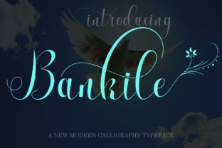 How Bankile Transforms Financial Workflows for Modern Professionals