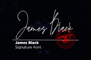 James Black: A Practical Design System for Modern Digital Products