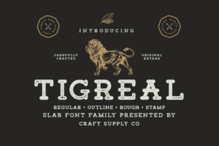 Navigating Tigreal Family: What You Need to Know Before You Choose