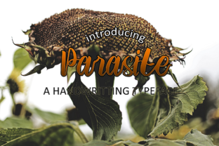 Parasite: Creative Lessons from Bong Joon-ho's Masterpiece