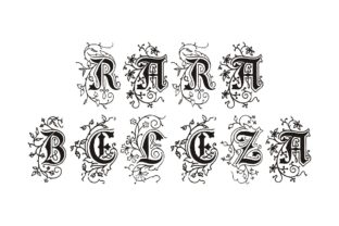 Rara Beleza: Embracing Uniqueness in Beauty and Lifestyle