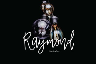 Raymond: A Display Font Built for Character