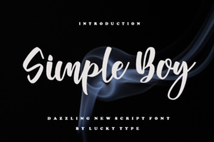 Simple Boy: A Practical Tool for Streamlining Everyday Tasks