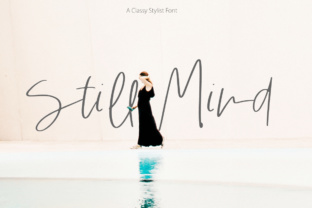 Still Mind: The Art of Mental Clarity in a Distracted World