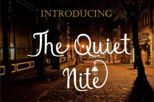 The Quiet Nite: Redefining Evening Hours in a Hyperconnected World