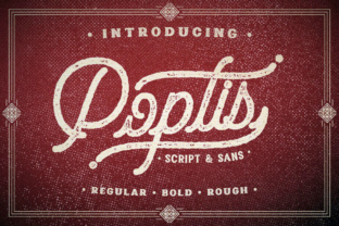 Understanding Poptis Heaver and How It Fits Into Your Decision-Making Process